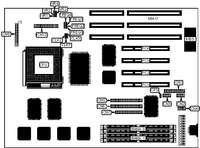 EVEREX SYSTEMS, INC. &nbsp; STEP SP/PRO