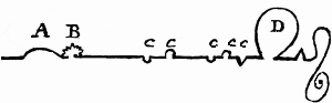 One very squiggly line across the page with loops marked A,B,C,C,C,C,C,D.