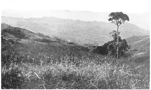 The Province of Abra, Looking Inland from the Coast Range.