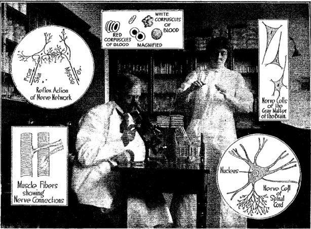 Microscopic Studies in Human Anatomy