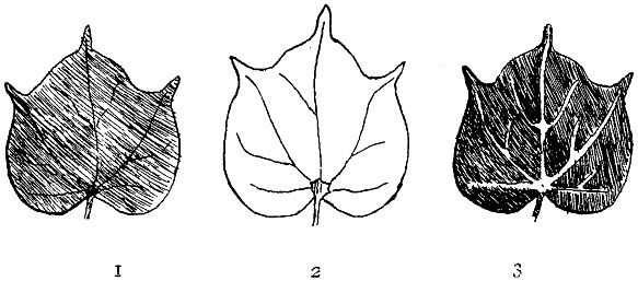 Fig. 61.