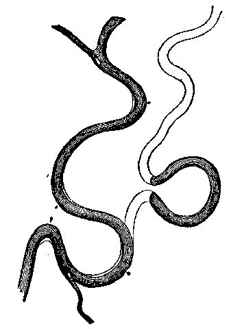 Fig. 11.—Oxbows and cut-off. Showing the changes in
the course of a river in its alluvial plain.