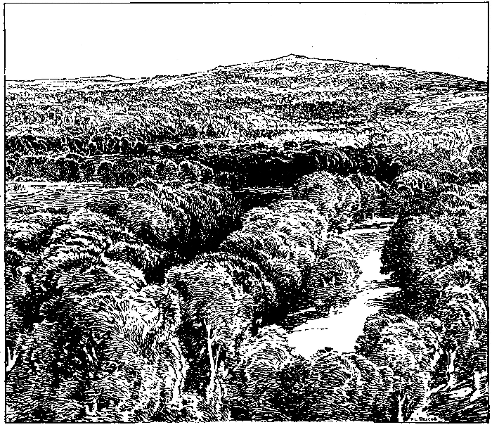 Ashdown Forest, from East Grinstead