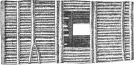 ceiling plan of Shupaulovi kiva