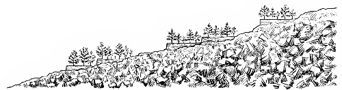 Cross Section of Mountain Slope in Yemen, Arabia, Showing Coffee Terraces