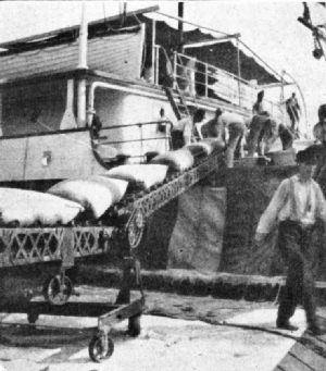 Unloading Coffee with Modern Conveyor, New Orleans