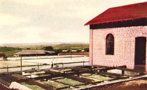 Drying Grounds, Pulping House, and Fermentation Vats, Boa Vista. Brazil