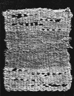 A RUG

Made of narrow strips of cotton cloth.