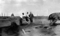 People helping a farmer