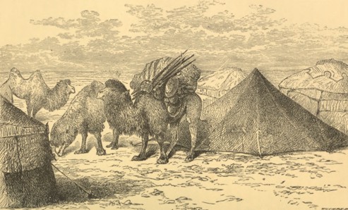 A MONGOL ENCAMPMENT