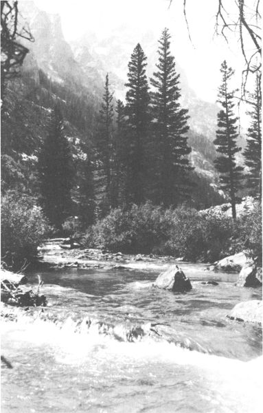 THE ICY WATERS OF CASCADE CANYON

Copyright, Crandall.