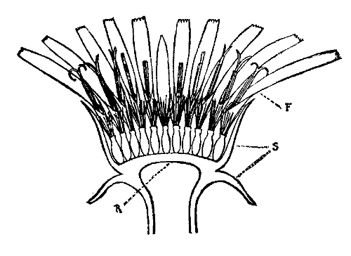 Diagram of structure.