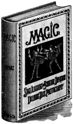 Magic book