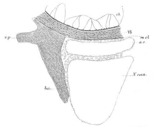 Illustration: Figure 317