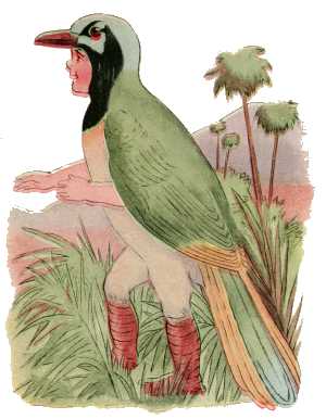 Green Jay