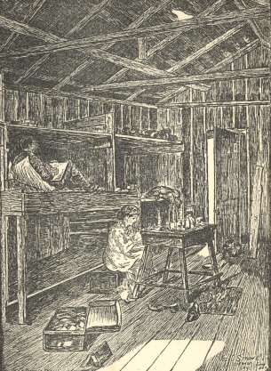 Picture of the squatters by Joseph D. Strong.  The title page
incorrectly claims it was by Joseph A. Strong