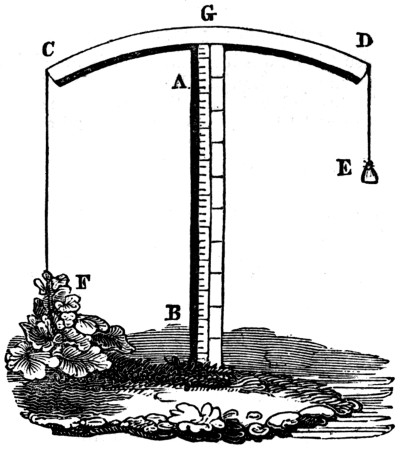 plant growth meter