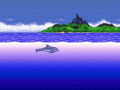 Ecco the Dolphin